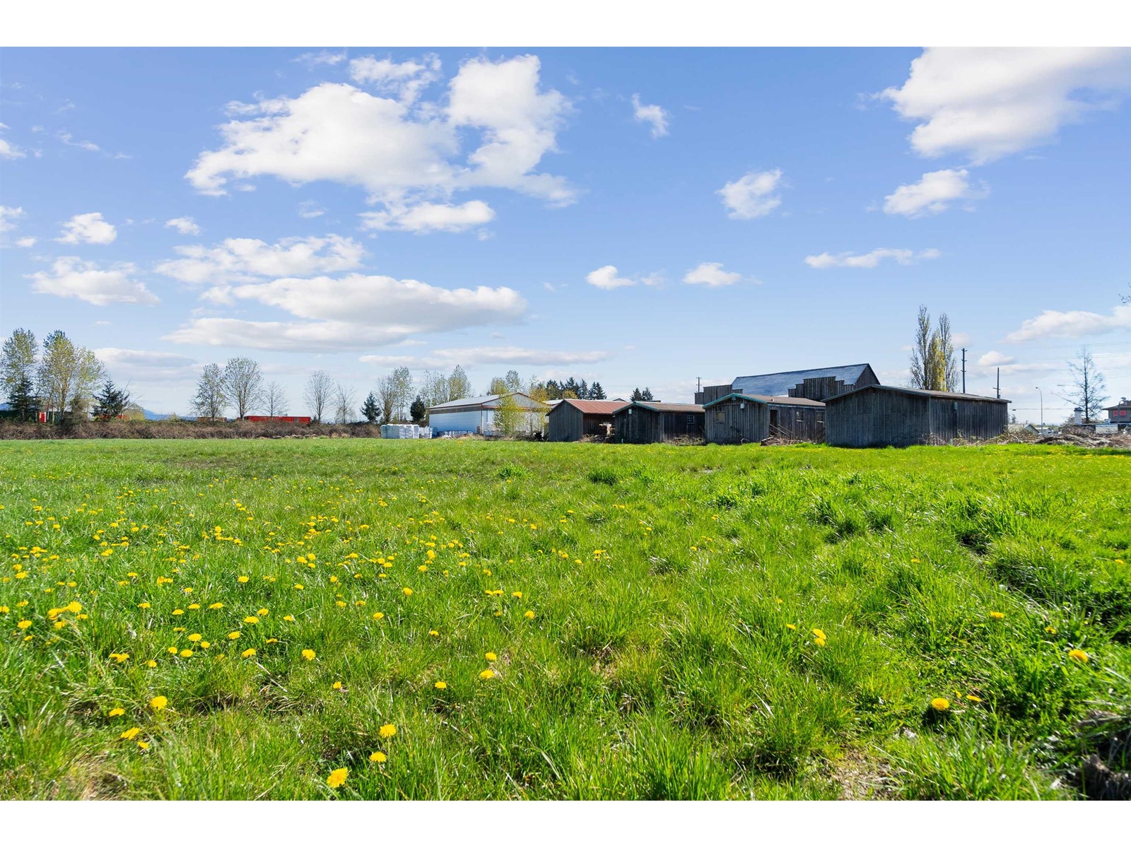 21533 CRUSH CRESCENT, Langley real estate listing R2953482