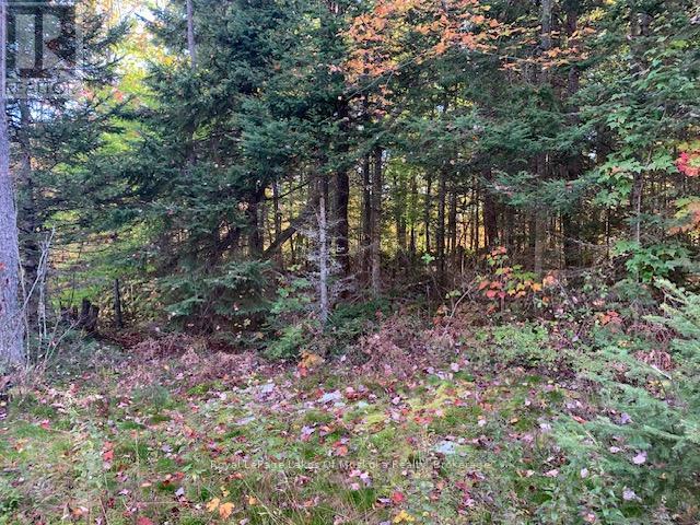 Photo 10 of 0 Sugar Bush Road E, Magnetawan ON