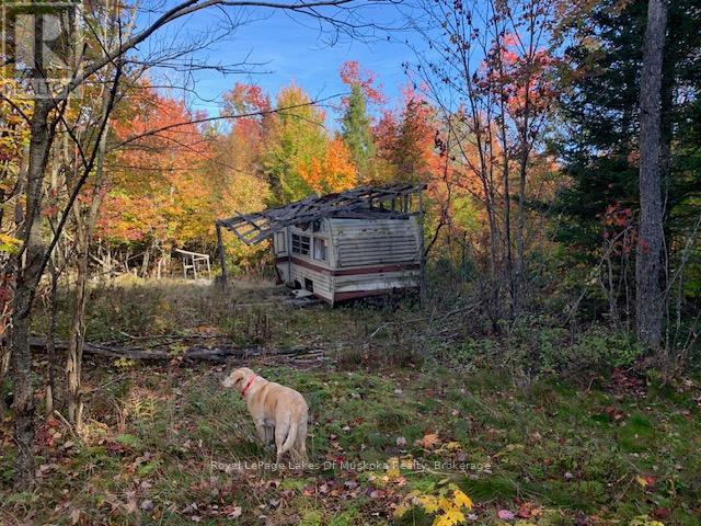 Photo 11 of 0 Sugar Bush Road E, Magnetawan ON