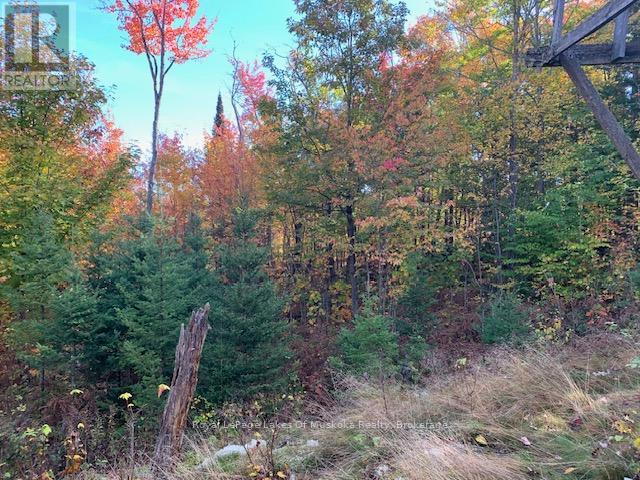 Photo 12 of 0 Sugar Bush Road E, Magnetawan ON