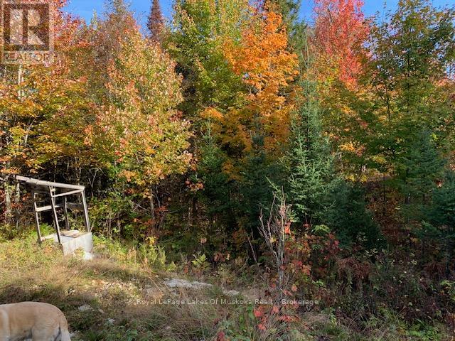Photo 13 of 0 Sugar Bush Road E, Magnetawan ON
