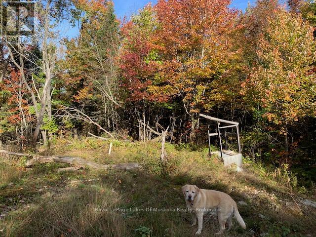 Photo 14 of 0 Sugar Bush Road E, Magnetawan ON
