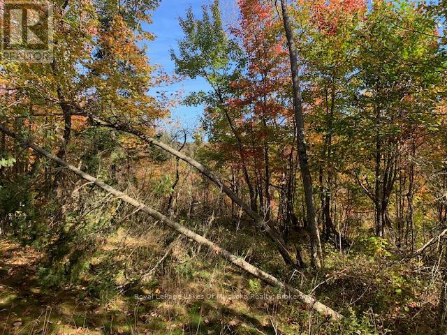 Photo 15 of 0 Sugar Bush Road E, Magnetawan ON