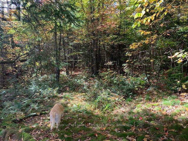 Photo 17 of 0 Sugar Bush Road E, Magnetawan ON