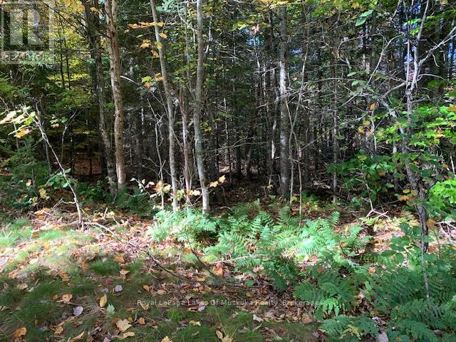 Photo 18 of 0 Sugar Bush Road E, Magnetawan ON