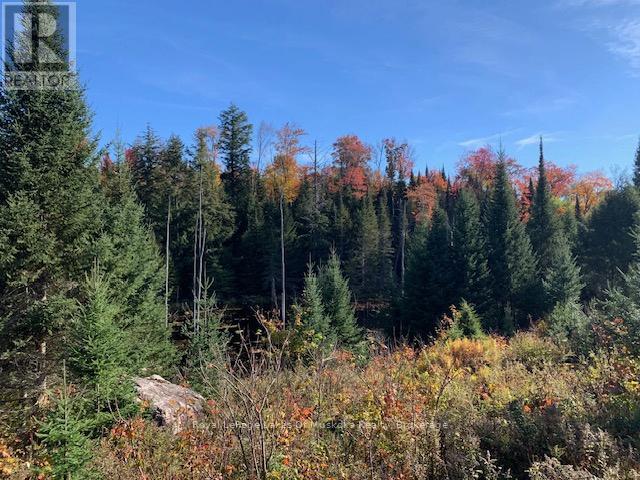 Photo 19 of 0 Sugar Bush Road E, Magnetawan ON