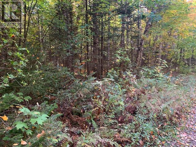 Photo 2 of 0 Sugar Bush Road E, Magnetawan ON