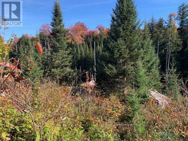 Photo 20 of 0 Sugar Bush Road E, Magnetawan ON