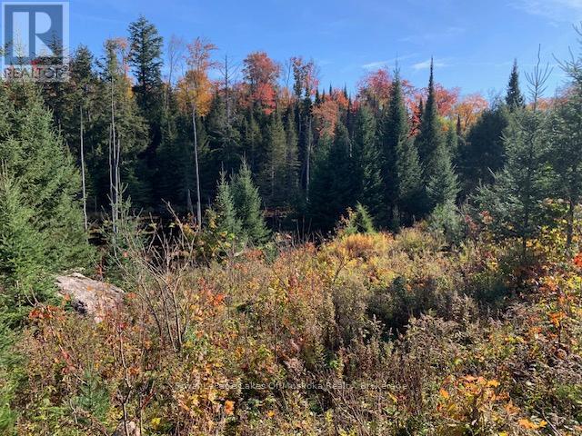 Photo 21 of 0 Sugar Bush Road E, Magnetawan ON