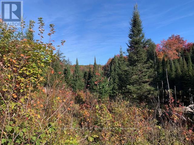 Photo 22 of 0 Sugar Bush Road E, Magnetawan ON
