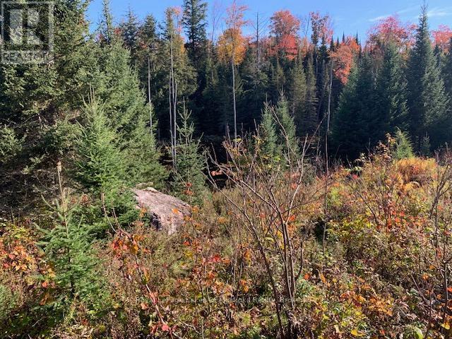 Photo 23 of 0 Sugar Bush Road E, Magnetawan ON