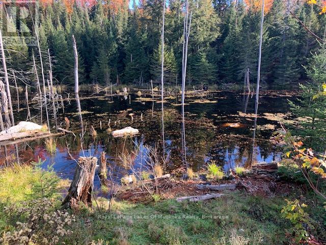 Photo 24 of 0 Sugar Bush Road E, Magnetawan ON