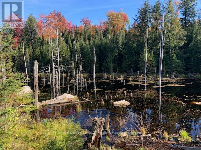 Photo 25 of 0 Sugar Bush Road E, Magnetawan ON