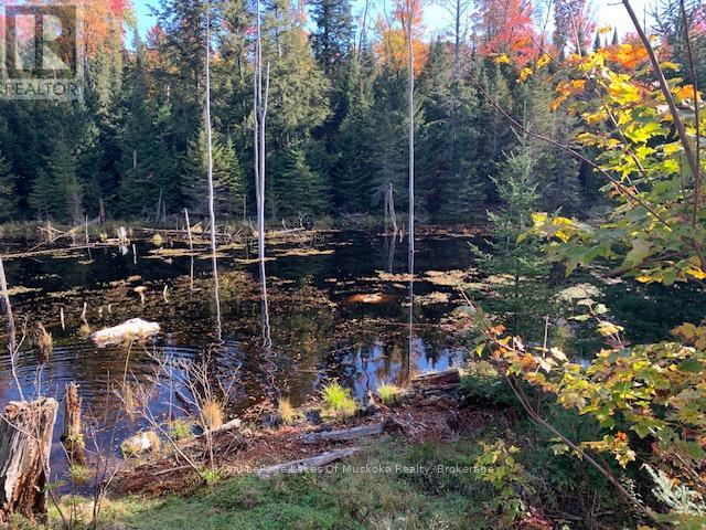 Photo 26 of 0 Sugar Bush Road E, Magnetawan ON