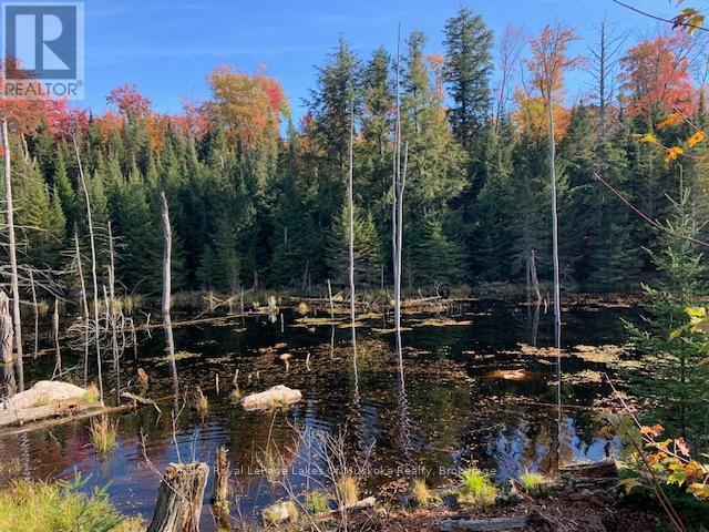 Photo 27 of 0 Sugar Bush Road E, Magnetawan ON