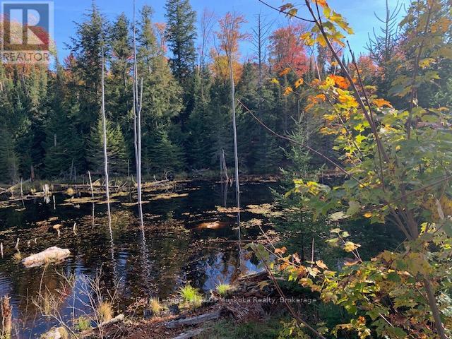 Photo 28 of 0 Sugar Bush Road E, Magnetawan ON