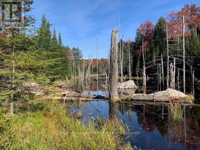 Photo 29 of 0 Sugar Bush Road E, Magnetawan ON