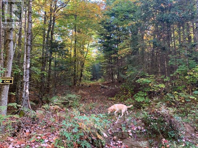 Photo 3 of 0 Sugar Bush Road E, Magnetawan ON