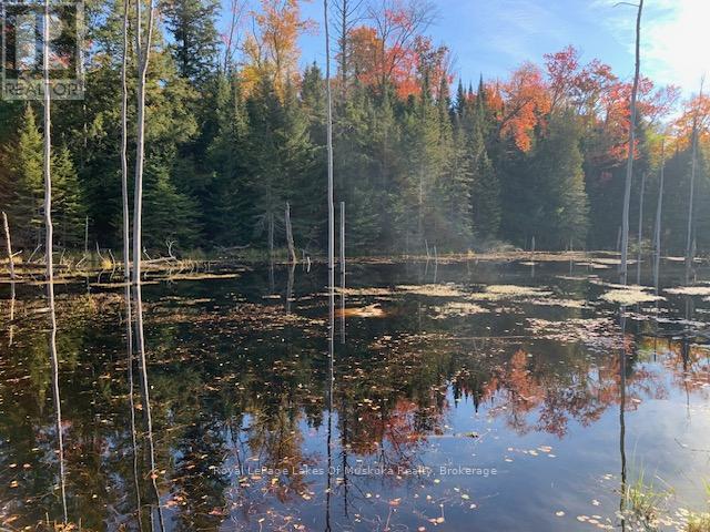 Photo 30 of 0 Sugar Bush Road E, Magnetawan ON