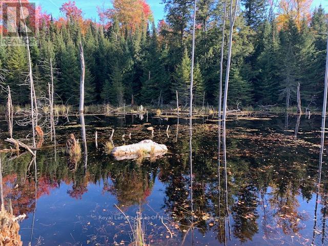 Photo 31 of 0 Sugar Bush Road E, Magnetawan ON
