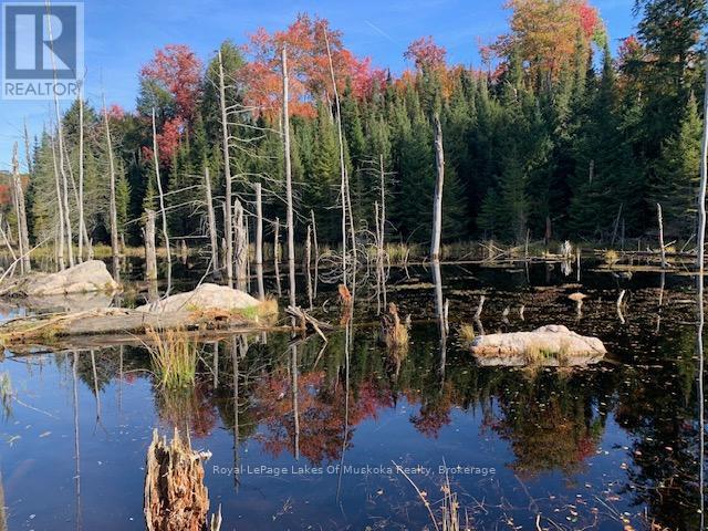 Photo 32 of 0 Sugar Bush Road E, Magnetawan ON