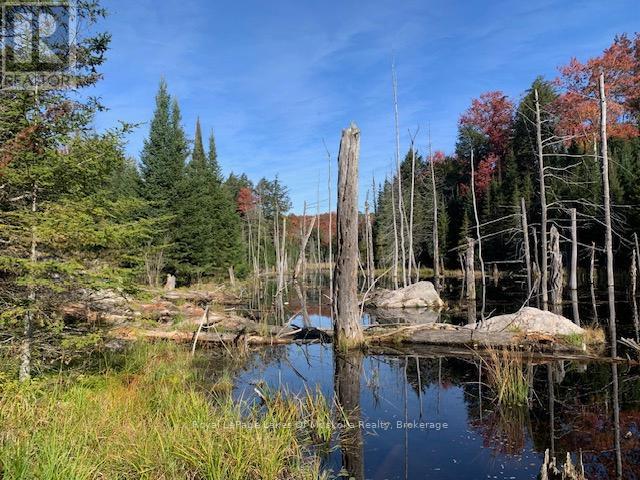 Photo 33 of 0 Sugar Bush Road E, Magnetawan ON