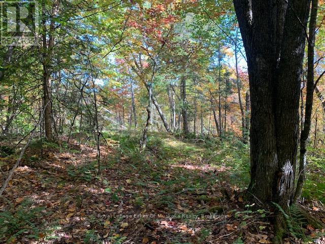 Photo 34 of 0 Sugar Bush Road E, Magnetawan ON