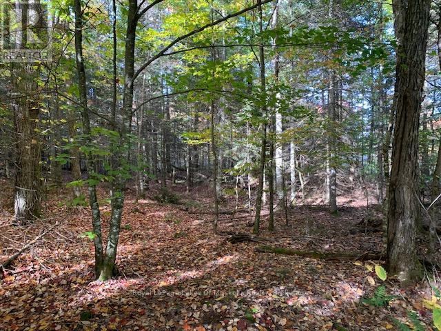 Photo 35 of 0 Sugar Bush Road E, Magnetawan ON