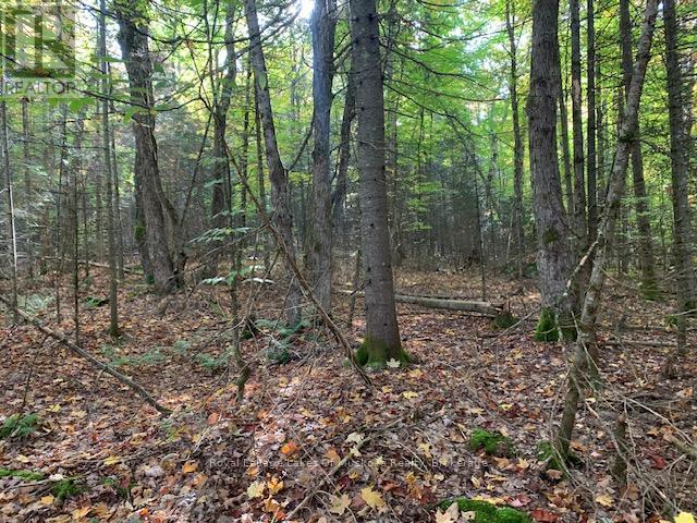 Photo 4 of 0 Sugar Bush Road E, Magnetawan ON