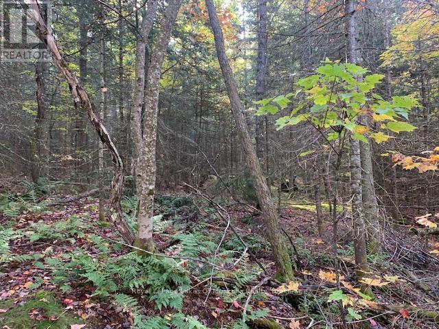 Photo 8 of 0 Sugar Bush Road E, Magnetawan ON