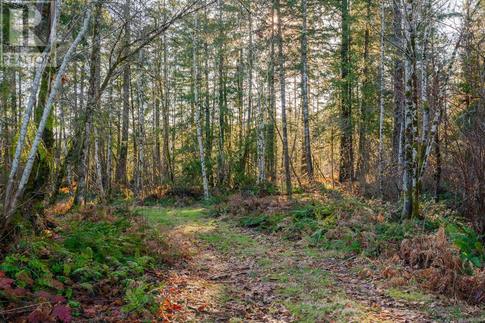 5610 Chapman Rd, Port Alberni real estate listing 984018