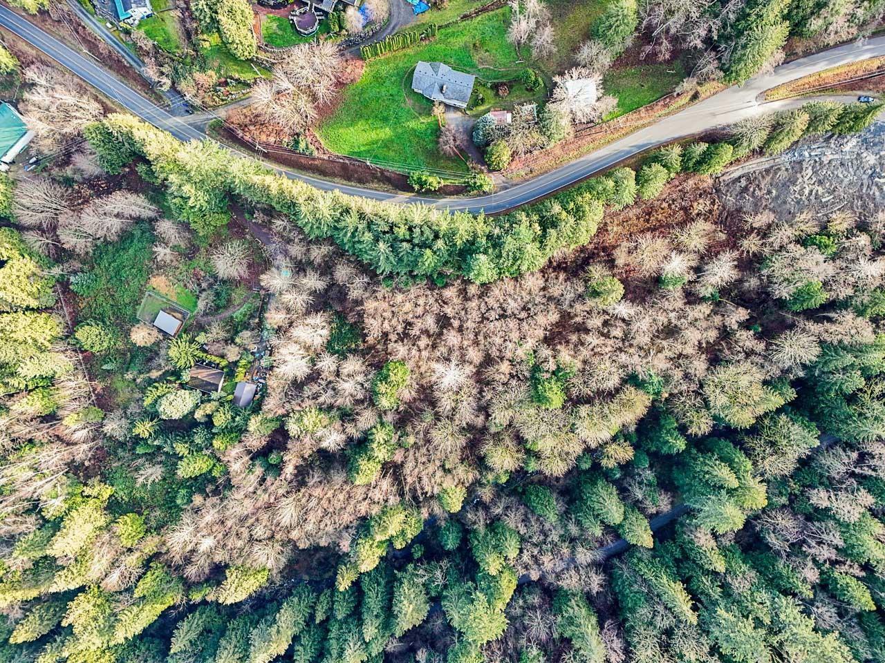 6183 RYDER LAKE ROAD, Ryder Lake, Chilliwack real estate listing R2953484