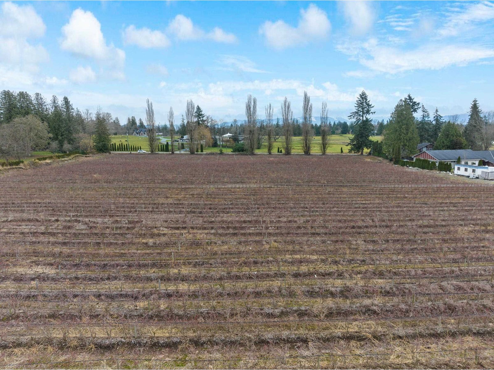2825 256 STREET, Langley real estate listing R2954372