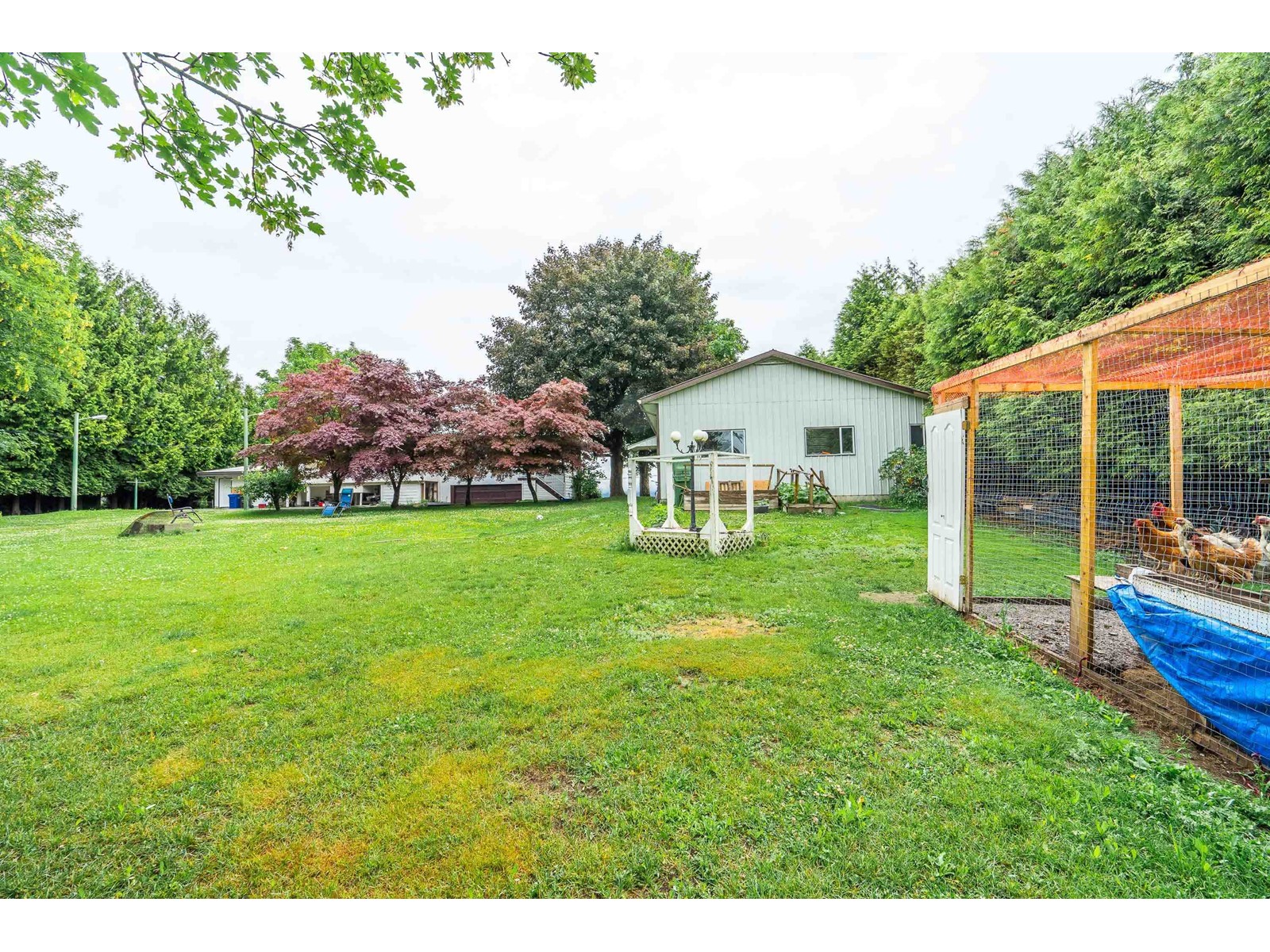 1559 WHATCOM ROAD, Abbotsford real estate listing R2954574