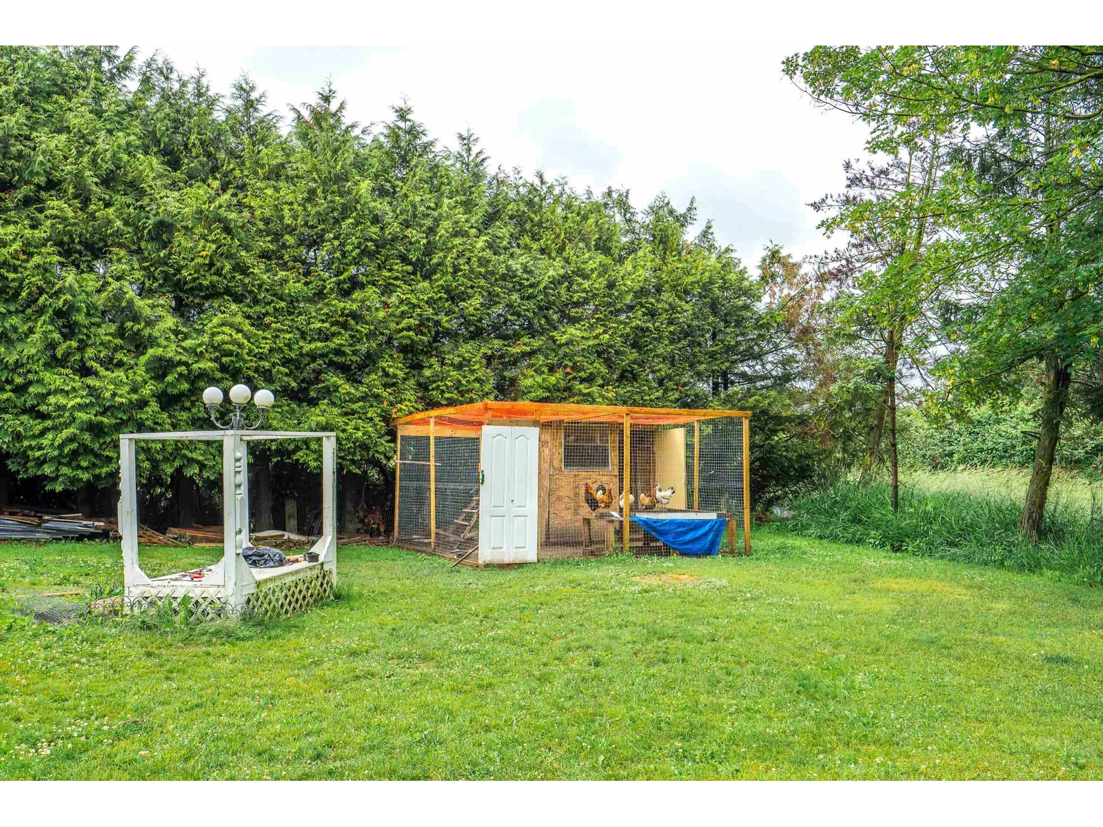 1559 WHATCOM ROAD, Abbotsford real estate listing R2954574