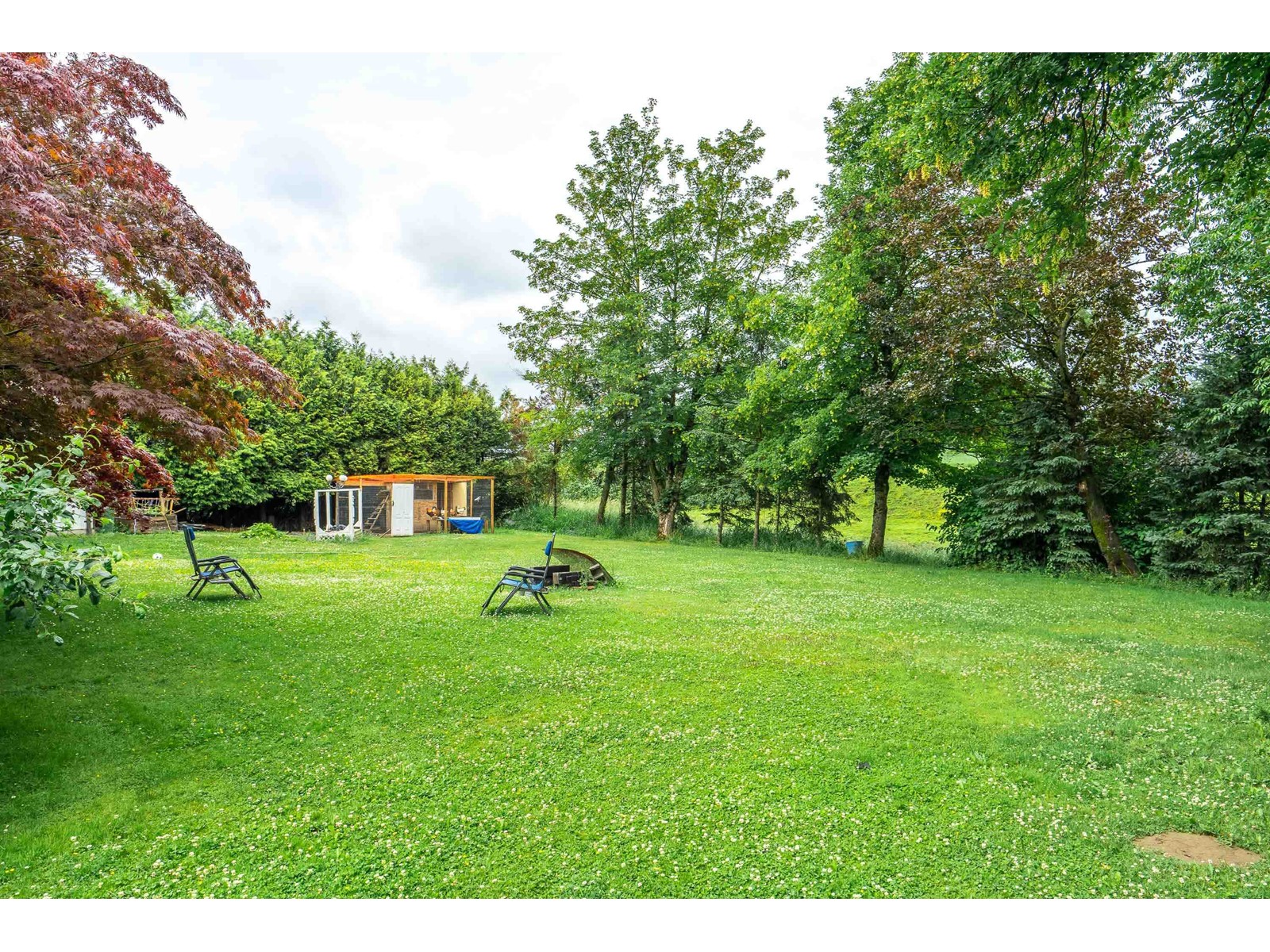 1559 WHATCOM ROAD, Abbotsford real estate listing R2954574
