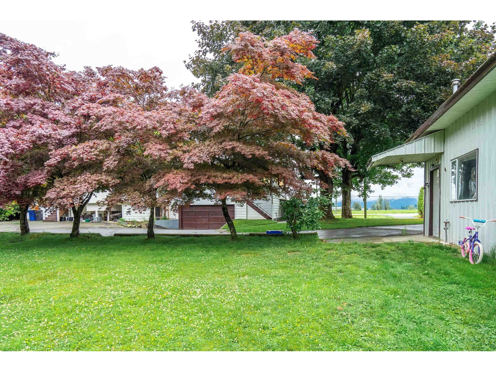 1559 WHATCOM ROAD, Abbotsford real estate listing R2954574