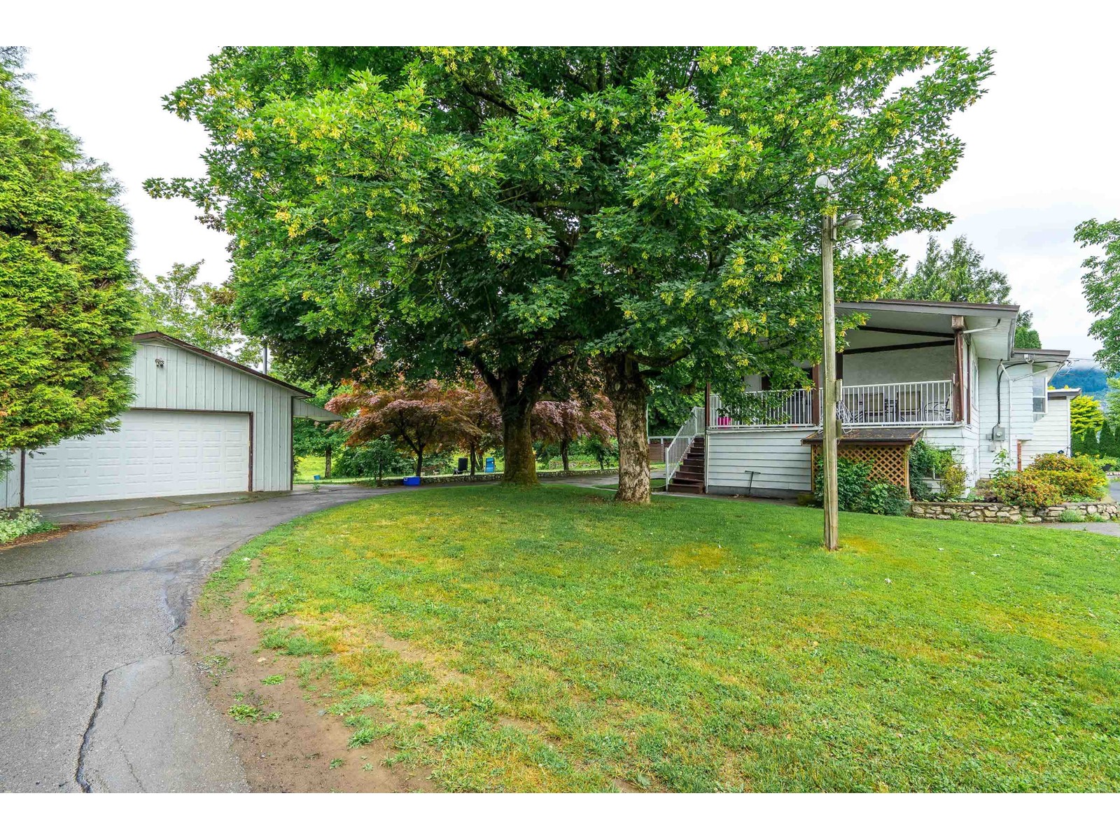 1559 WHATCOM ROAD, Abbotsford real estate listing R2954574