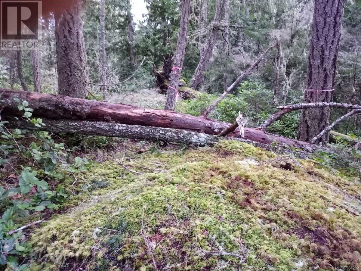 Photo 10 of 1240 Starlight Grove, Sooke BC