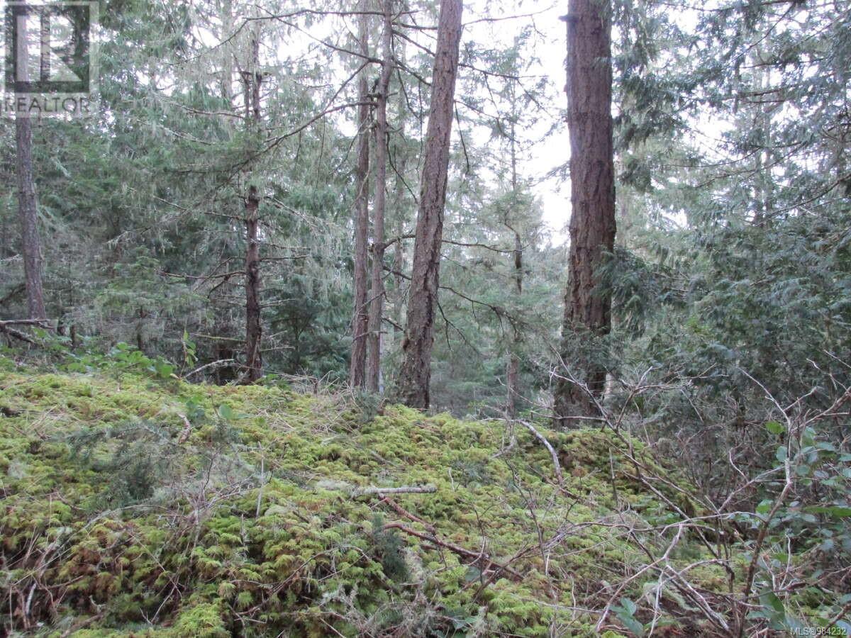 Photo 9 of 1240 Starlight Grove, Sooke BC