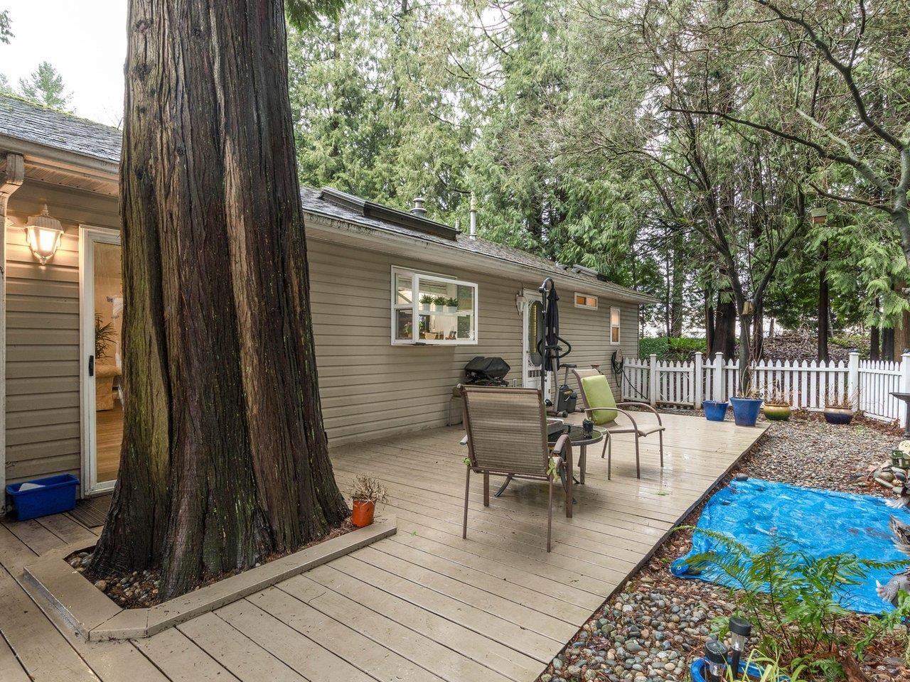 149 9080 198 STREET, Langley real estate listing R2954823