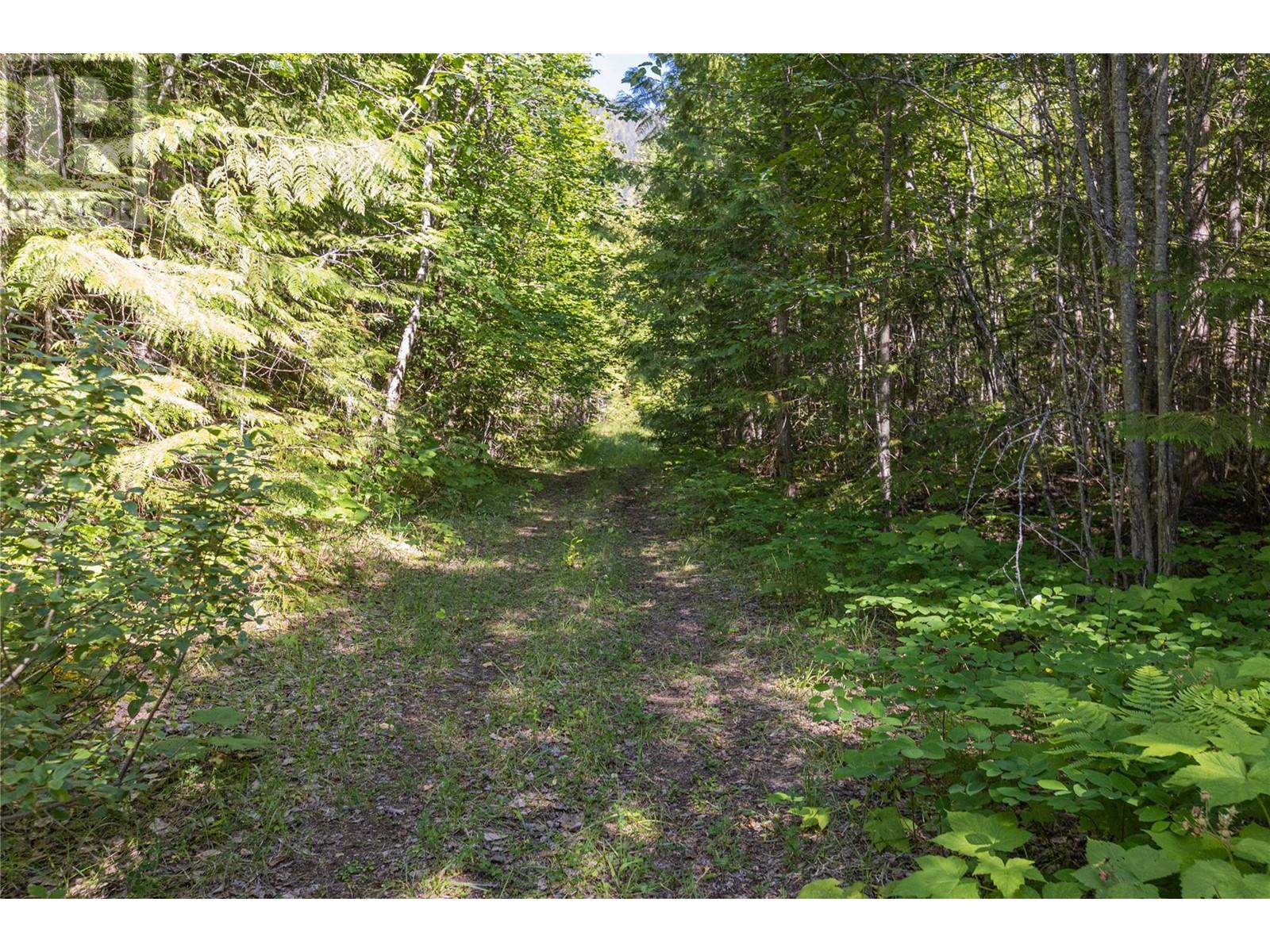 Photo 20 of 000 Sunnybrae Canoe Point Road, Tappen BC