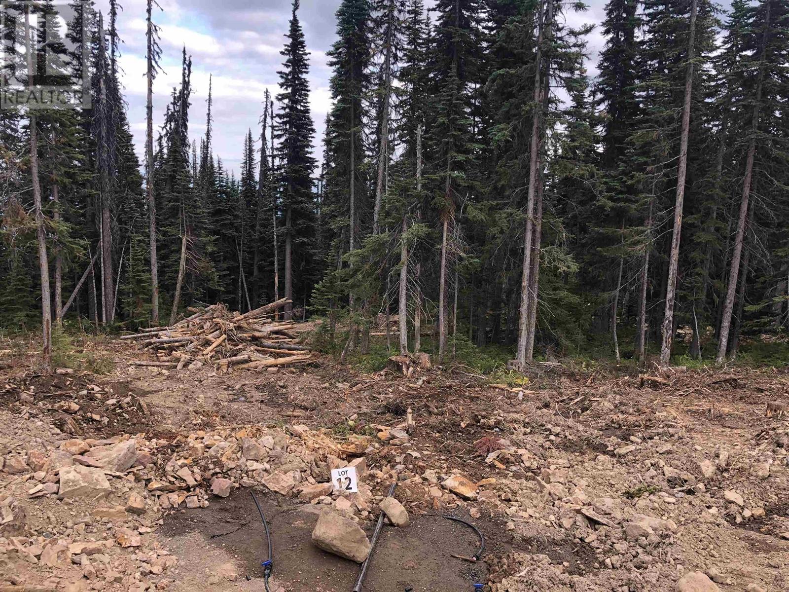#PST-12 ALPINE Way, Smithers