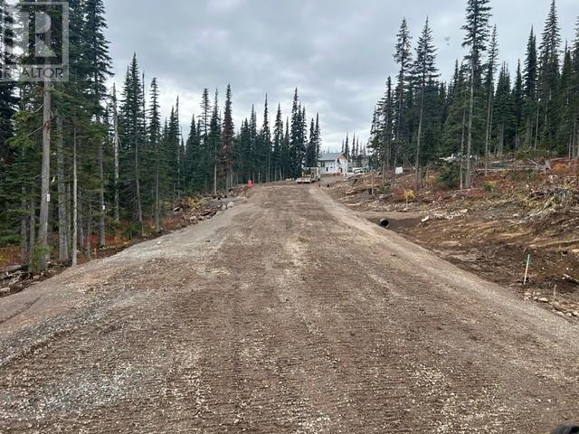 #PST-12 ALPINE Way, Smithers