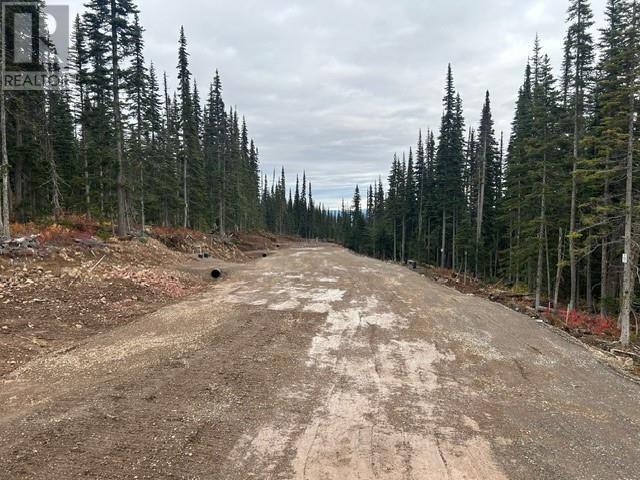#PST-12 ALPINE Way, Smithers
