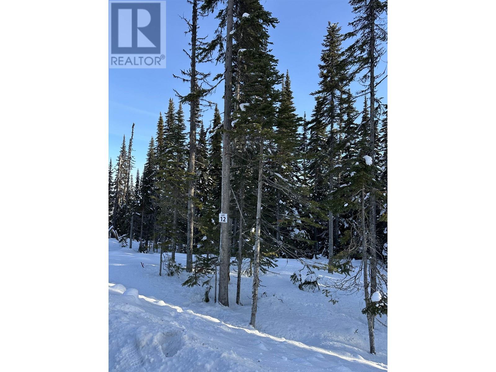 #PST-12 ALPINE Way, Smithers