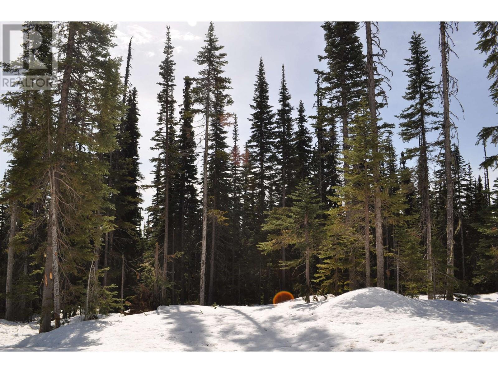 #PST-12 ALPINE Way, Smithers