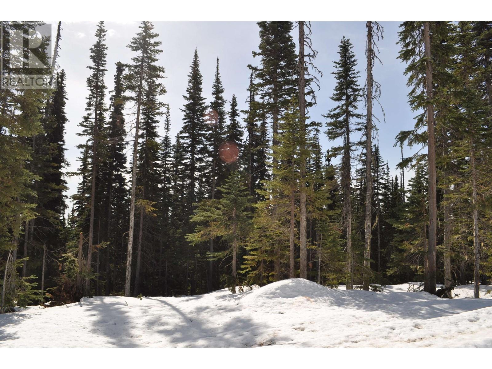 #PST-12 ALPINE Way, Smithers