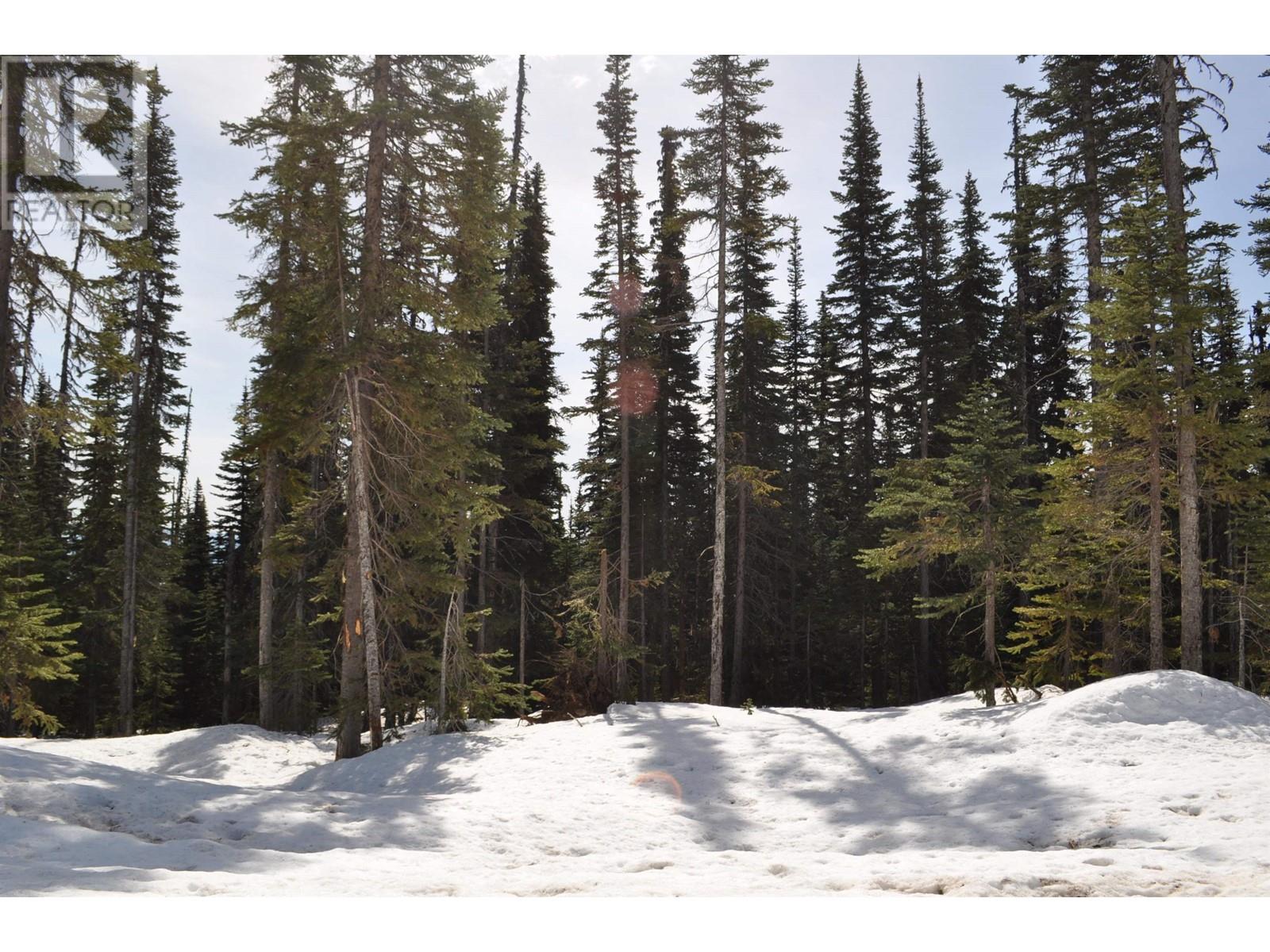 #PST-12 ALPINE Way, Smithers