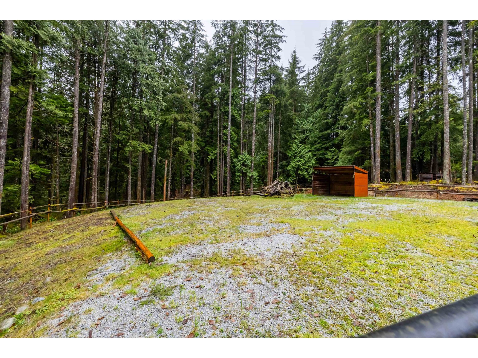 12653 CARDINAL STREET, Mission real estate listing R2956382
